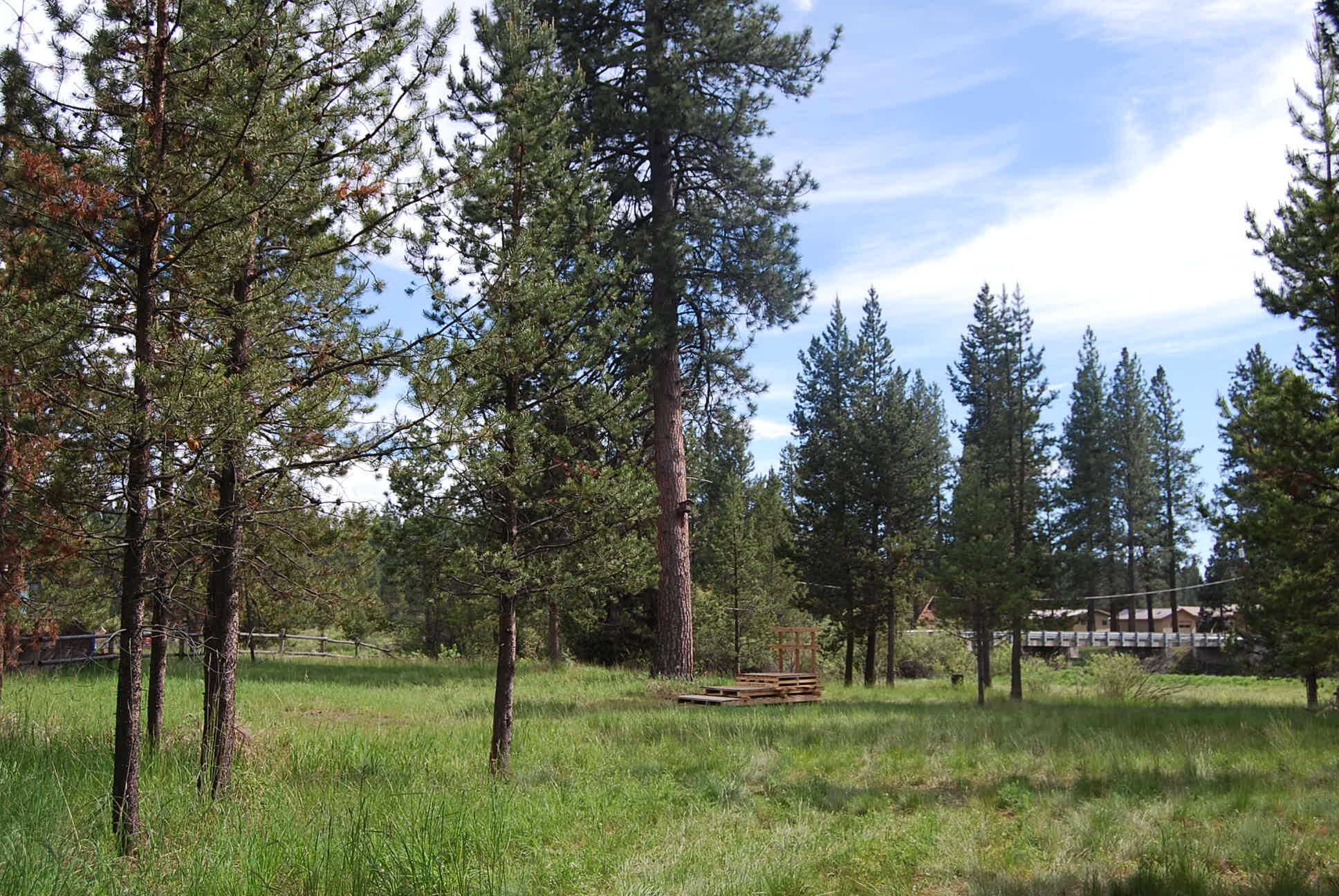 16245 Bear Lane