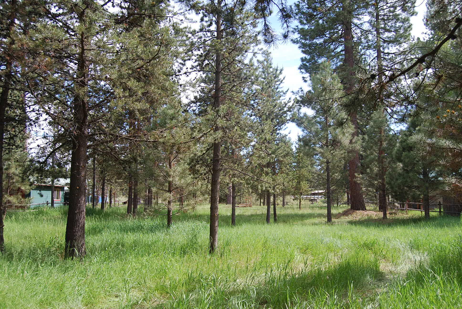 16245 Bear Lane