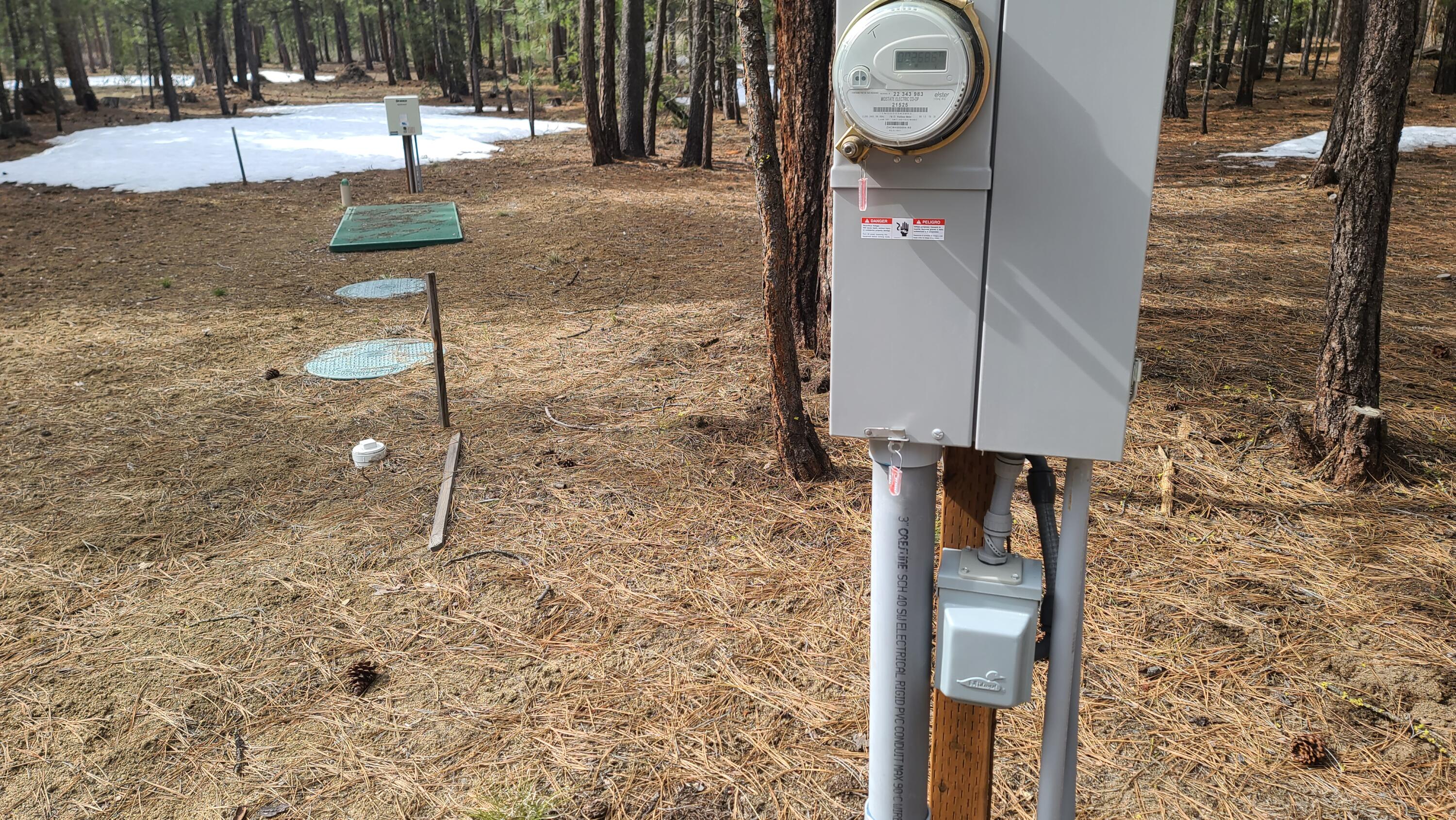 Ponderosa Pines - Land