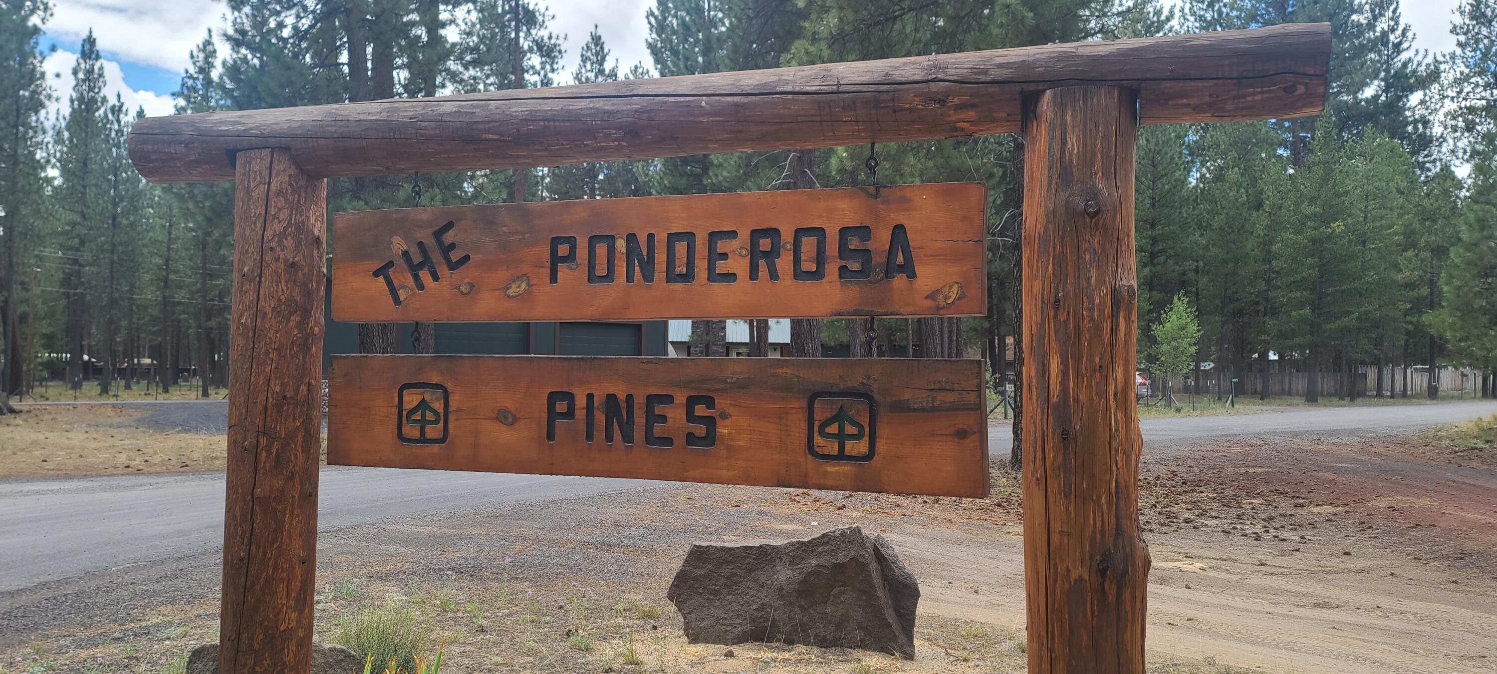 Ponderosa Pines - Land