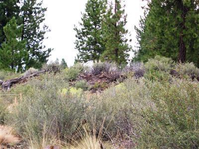 Sunset View Estates - Land