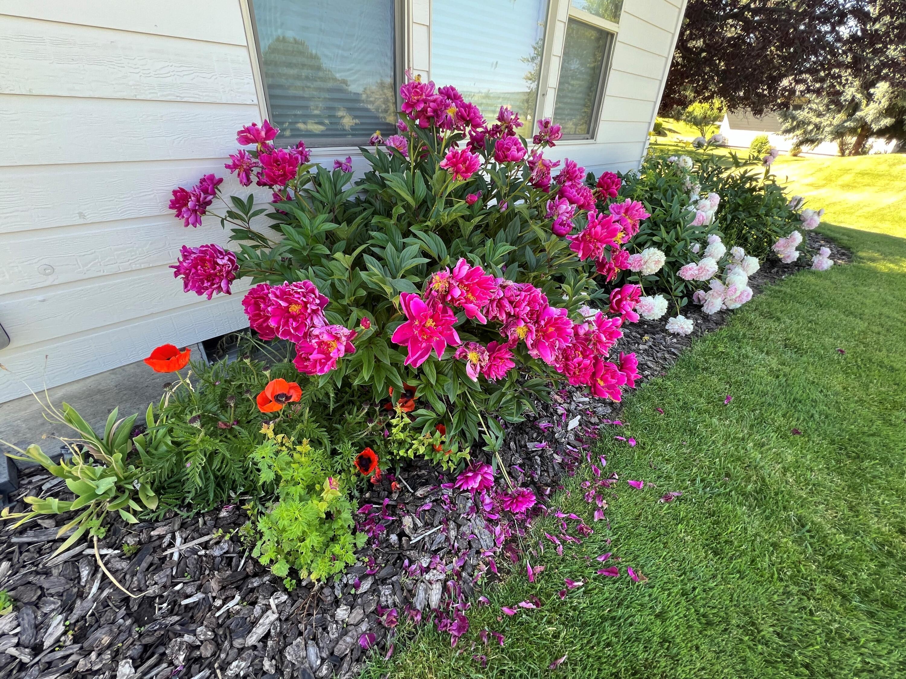 Harbor Isles - Residential