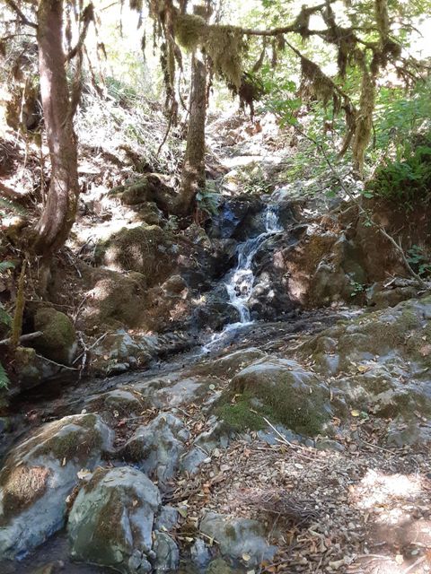 Tiny photo for 4280 Lower Wolf Creek Road, Wolf Creek, OR 97497 (MLS # 220211865)