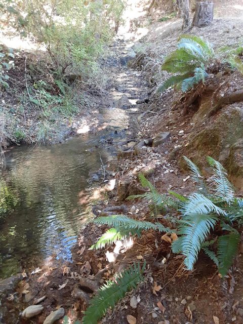 Tiny photo for 4280 Lower Wolf Creek Road, Wolf Creek, OR 97497 (MLS # 220211865)