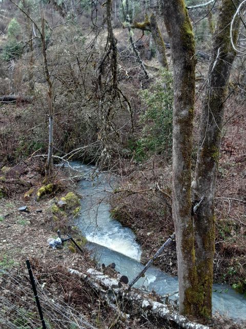 Tiny photo for 4280 Lower Wolf Creek Road, Wolf Creek, OR 97497 (MLS # 220211865)