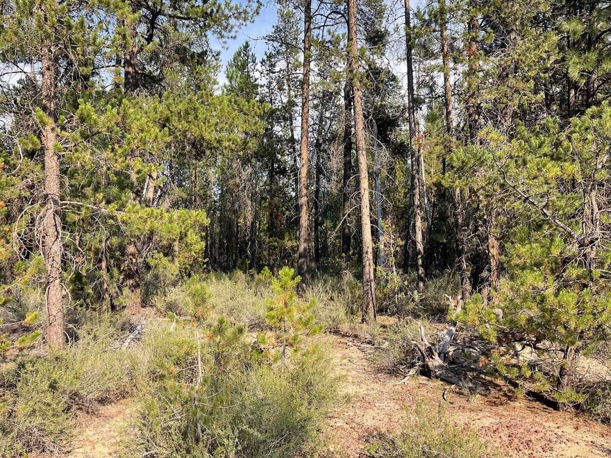 Heavily treed .33 acre parcel with excellent Little Deschutes River Access for fishing and playing in the water. Power and phone at the edge of the parcel along the road. Riverfront trail with great access.  This lovely parcel is just minutes to town for supplies. Several nice log homes in the area. Area of fine homes, year-round recreation, and the wonderful Central Oregon Weather. Perfect location for your next home or cabin.
GPS
43.497
-121.674