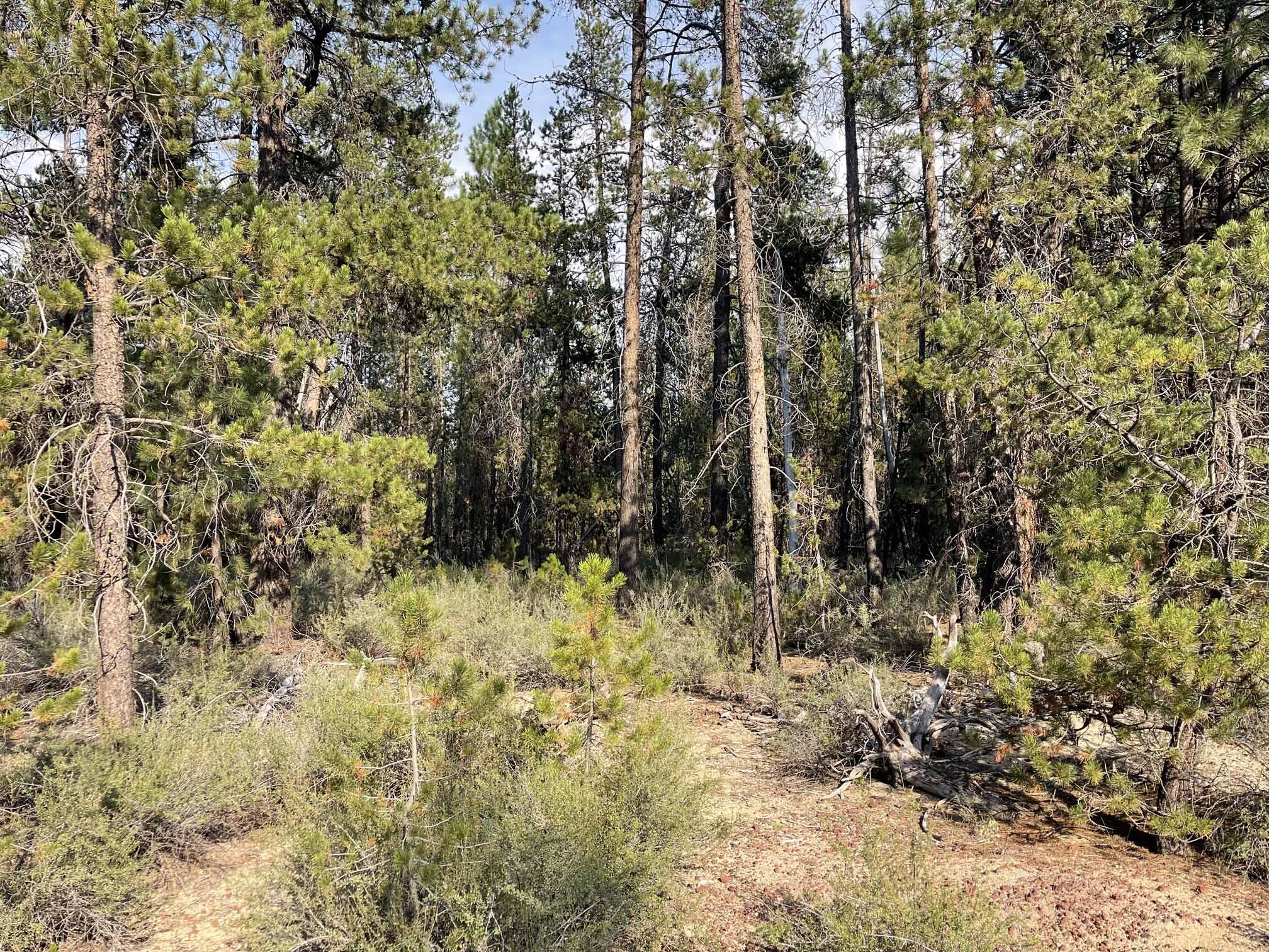 Roberts' River Acres - Land