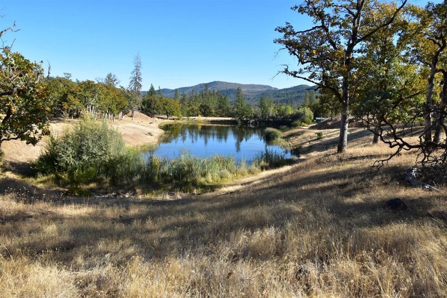 40 Acres in Shady Cove! Beautiful Mountain Views. Offering 3 connected parcels/tax lots, being sold as one. There is a 30 acre and two 5 acre parcels-all connected. No irregular property lines, Nice and square combined. There was a home site approval on the 30 ac parcel many years ago(now expired). Buyer will need to perform their own due diligence regarding home sites/septic/other for 1 or all 3 tax lots. Upper View and lower land are on this property. There is a Large Pond partially in property(year round-see Aerials). Culvert crossing. Two of the neighboring properties are BLM and Shady Cove School Dist. Flowing Access from Sawyer Rd. (county maps show an approx 20ft wide, straight line access of an extension of Schoolhouse Ln?). Nice Elevations(approx):50% in 1,520ft-1,580ft & high top 1,720ft. There are many possibilities for this property!