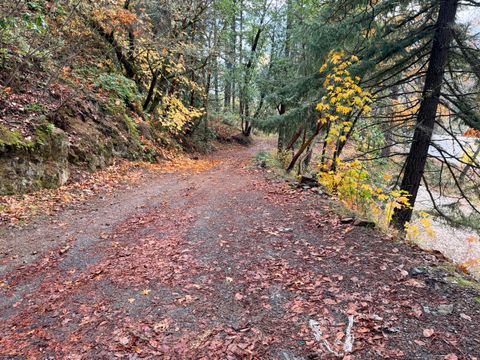 Tiny photo for 198 Coyote Creek Road, Wolf Creek, OR 97497 (MLS # 220212000)