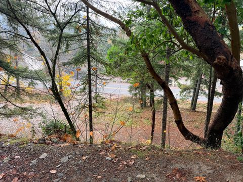 Tiny photo for 198 Coyote Creek Road, Wolf Creek, OR 97497 (MLS # 220212000)