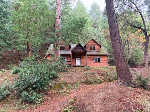 Photo of 198 Coyote Creek Road, Wolf Creek, OR 97497 (MLS # 220212000)