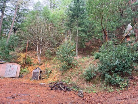 Tiny photo for 198 Coyote Creek Road, Wolf Creek, OR 97497 (MLS # 220212000)