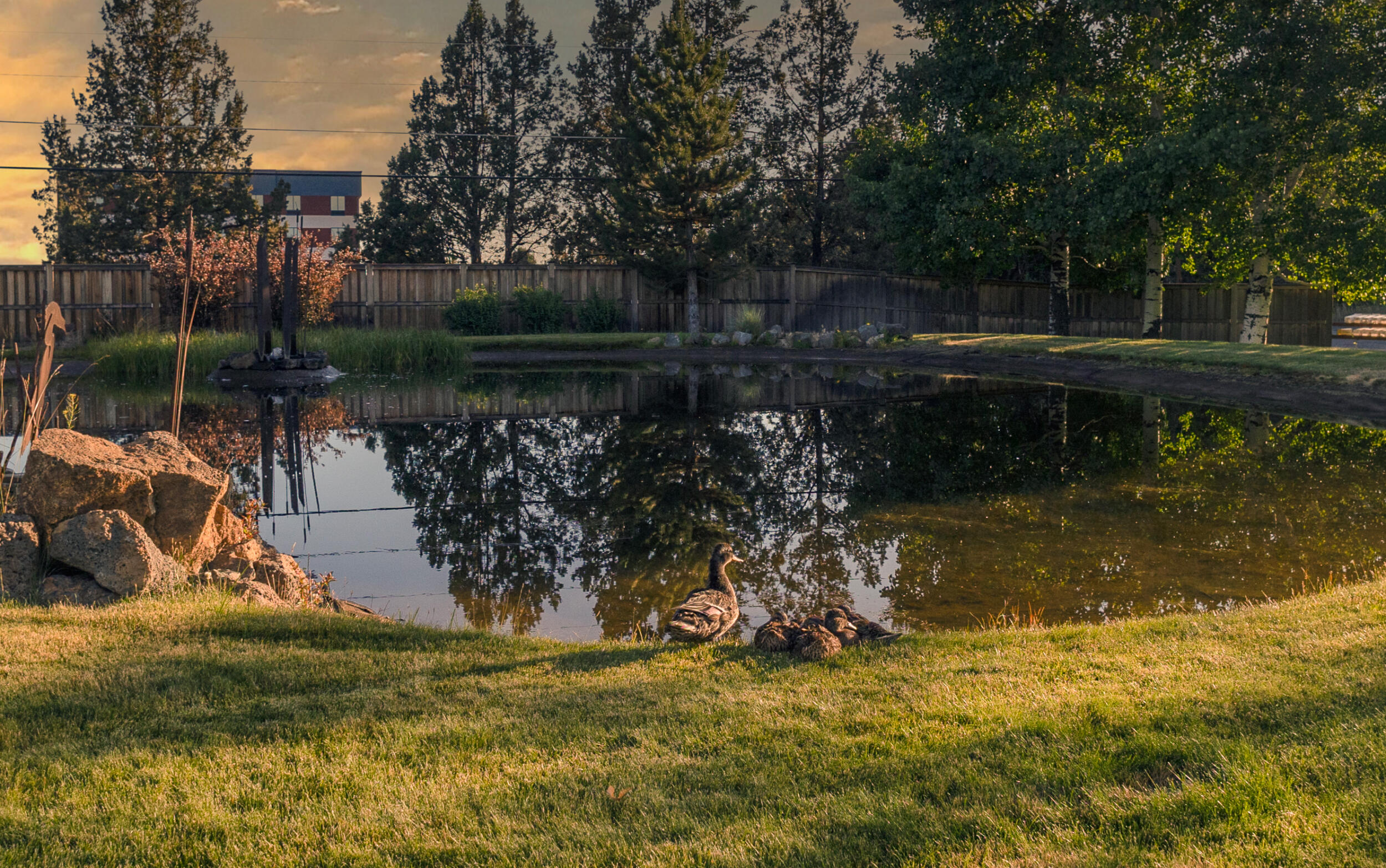 Skyview Terr - Residential