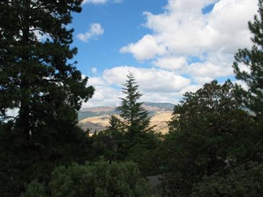 Basically flat 10,454 square foot lot in the established Oak Knoll neighborhood of Ashland. Adjacent to common area/open space, with views of the mountains to be had through the trees.