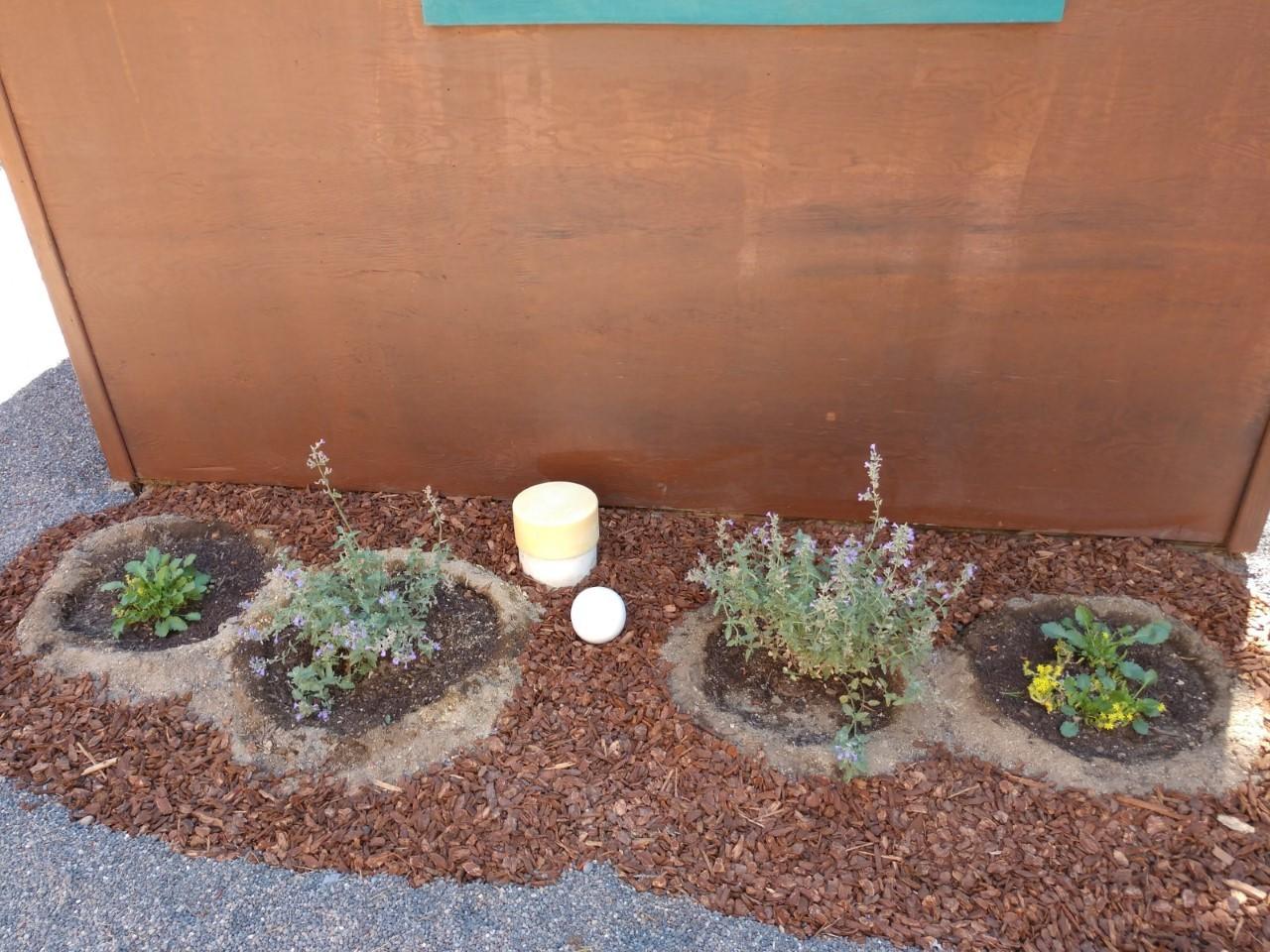 Alpine Meadows - Residential