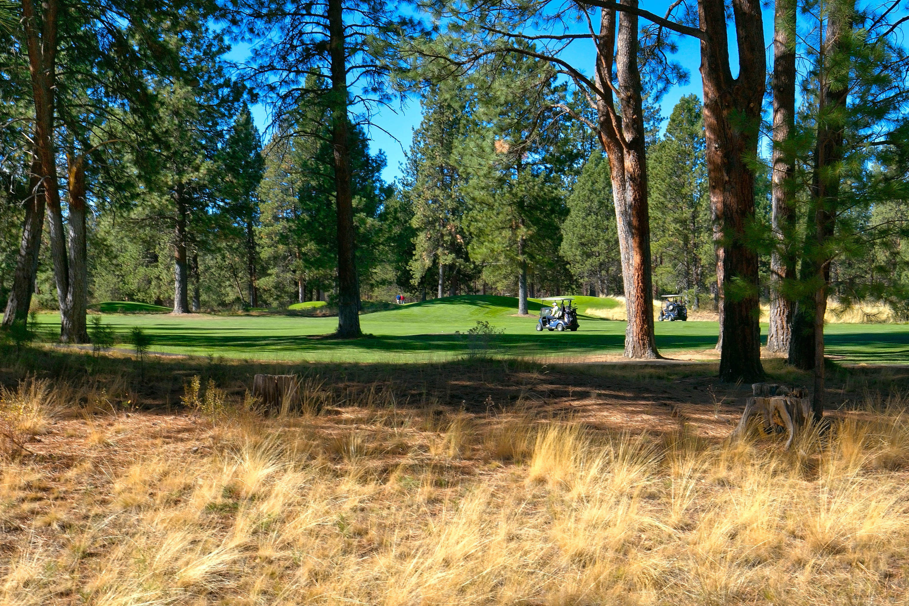 7th Mtn Golf Village - Residential