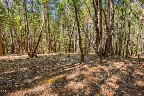 Tiny photo for 255 Janice Way, Merlin, OR 97532 (MLS # 220224141)