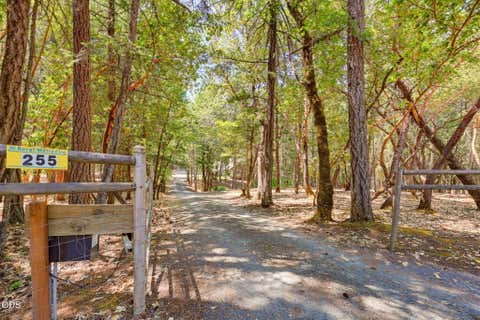 Tiny photo for 255 Janice Way, Merlin, OR 97532 (MLS # 220224141)