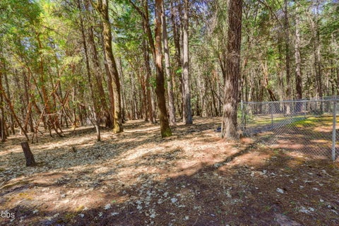 Tiny photo for 255 Janice Way, Merlin, OR 97532 (MLS # 220224141)
