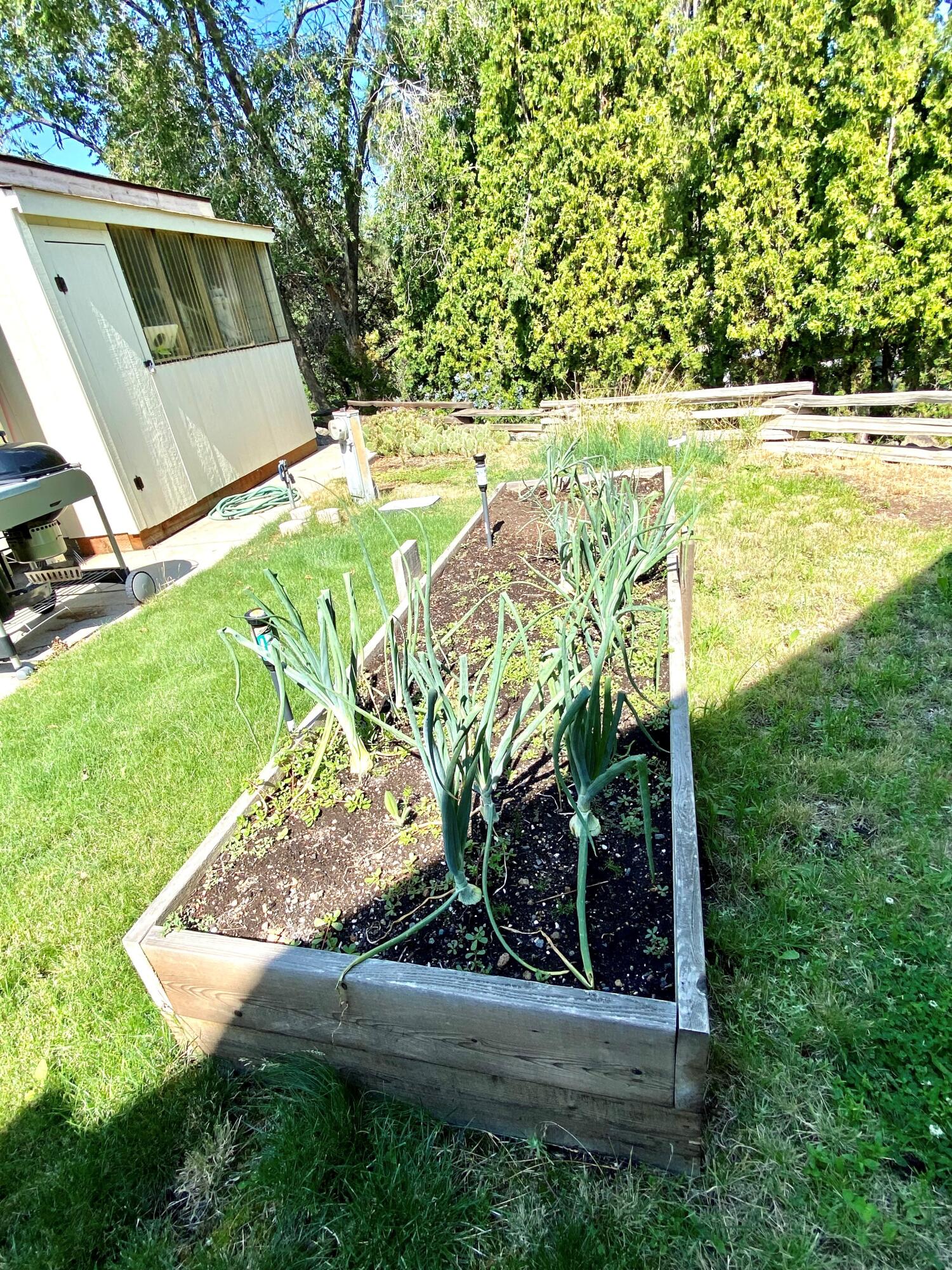 Suntree Village - Residential