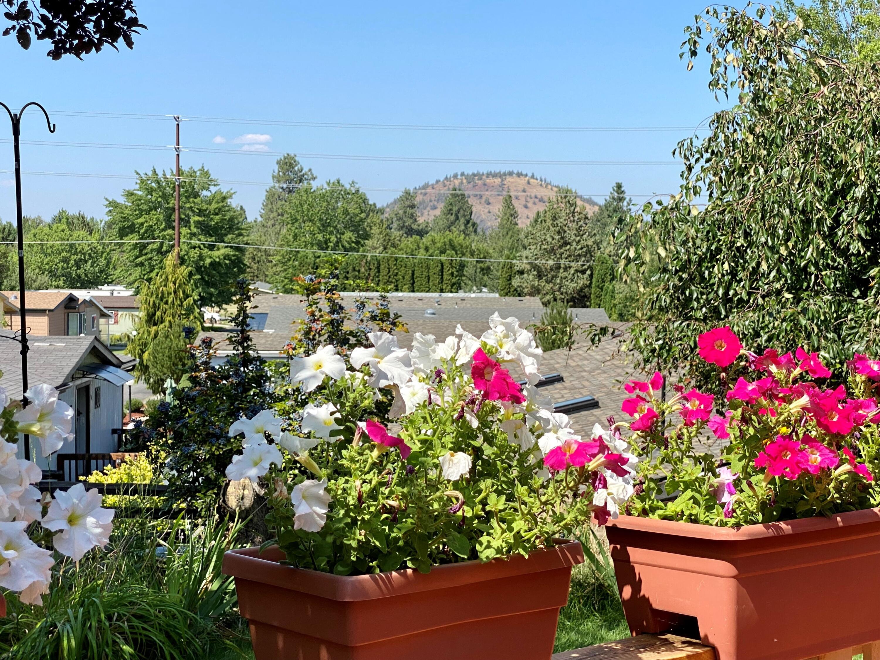 Suntree Village - Residential