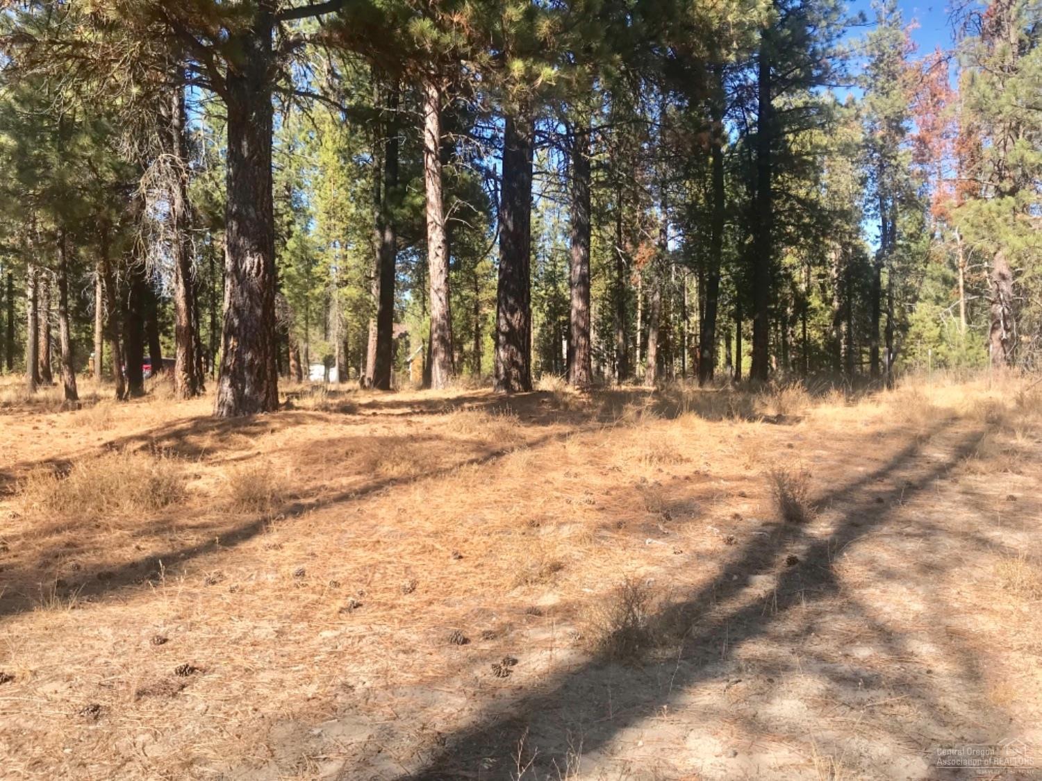 Deschutes River Acre - Land