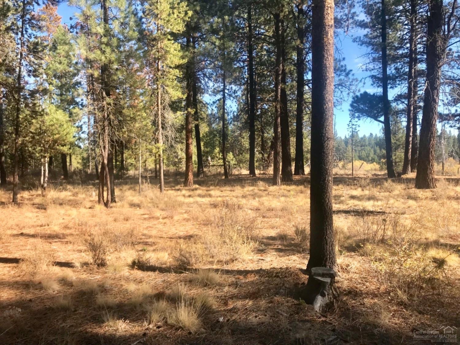 Deschutes River Acre - Land