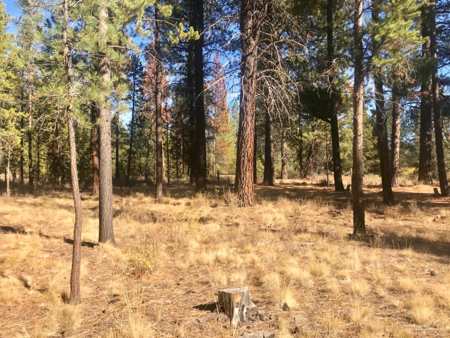 Deschutes River Acre - Land