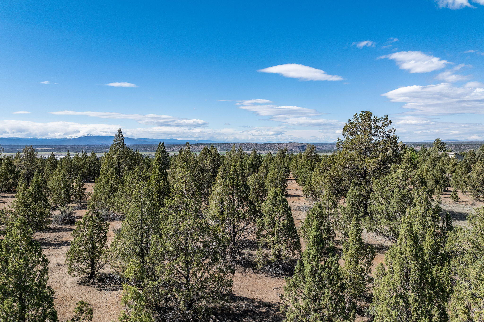 Picture for the property 220221789, 0 beds, 0 baths