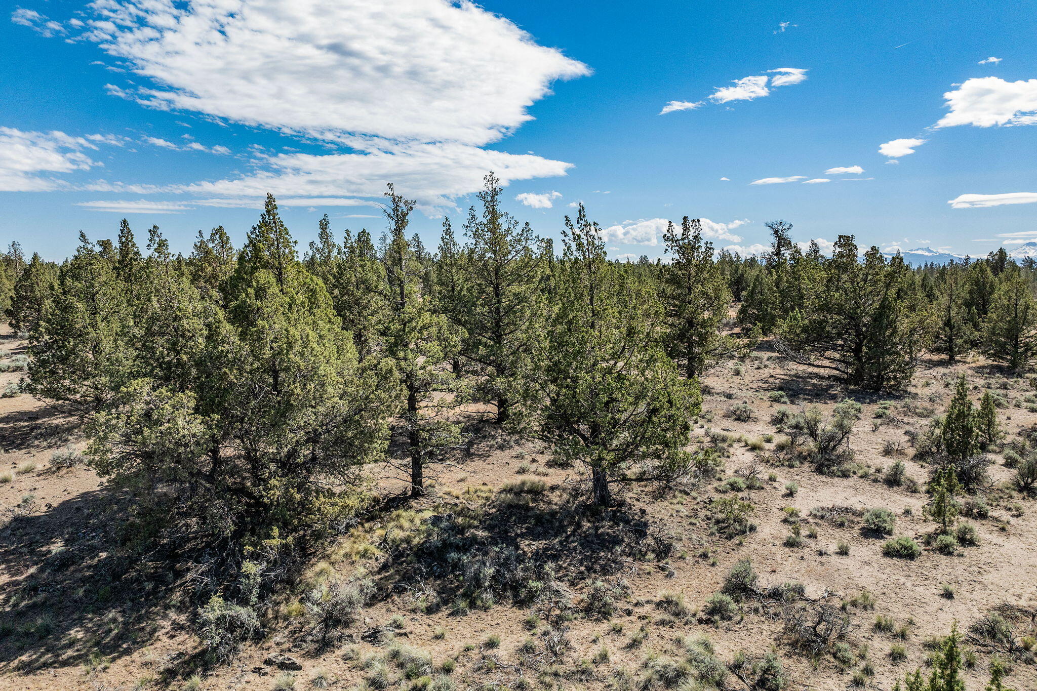 Picture for the property 220221789, 0 beds, 0 baths