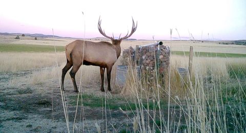 Tiny photo for 91355 HWY 293, Antelope, OR 97001 (MLS # 220211623)