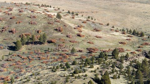 Tiny photo for 91355 HWY 293, Antelope, OR 97001 (MLS # 220211623)