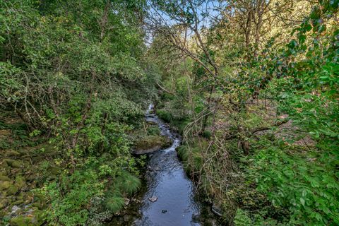 Tiny photo for 10665 Redwood Highway, Wilderville, OR 97543 (MLS # 220210669)