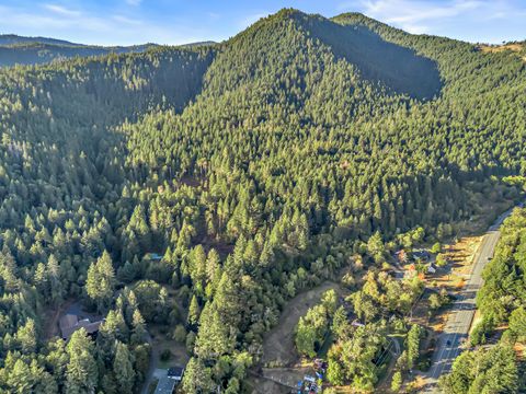 Tiny photo for 10665 Redwood Highway, Wilderville, OR 97543 (MLS # 220210669)