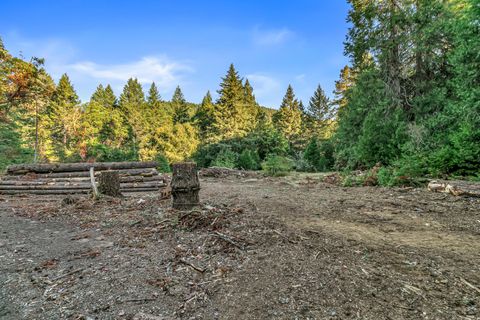 Tiny photo for 10665 Redwood Highway, Wilderville, OR 97543 (MLS # 220210669)