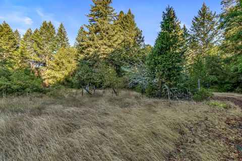 Tiny photo for 10665 Redwood Highway, Wilderville, OR 97543 (MLS # 220210669)