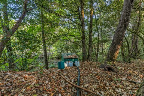 Tiny photo for 10665 Redwood Highway, Wilderville, OR 97543 (MLS # 220210669)