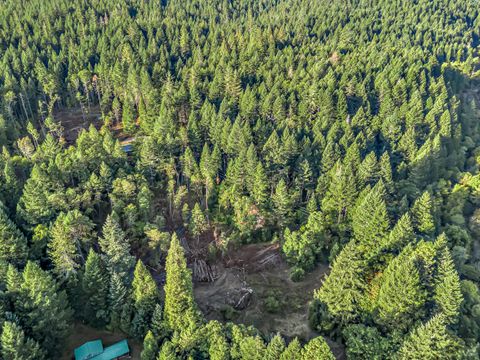 Tiny photo for 10665 Redwood Highway, Wilderville, OR 97543 (MLS # 220210669)