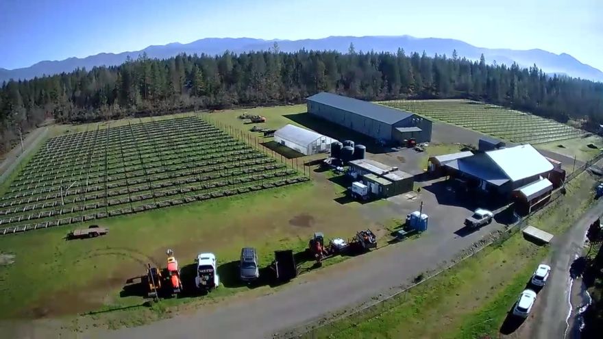 2 Professional Cannabis Companies, on one 40 Acre location. Both Tier II, and both have an excellent reputation with the State OLCC. This Farm comes fully staffed, with all equipment and includes 2 on-site Residences, with over 3,400 S/F total. 7 straight successful years, with the books to prove it. 3 Shops - 14,200 total Sq Ft and 9 rooms, all temperature controlled, with HVAC. A Steel Security Fence surrounds the perimeter of both farms, Heavy Steel Gate on driveway entrance. 3 pages of Heavy farming and processing equipment are included. Motion Camera's, & Monitored Video Surveillance, inside and outside. All Hardwired back to the server on a dedicated Wifi. 2 Residential Wells and 2 Ag Wells, Year Around Ground Water Rights, 1600 AMPS. 2 Custom Fertigation Stations, equipped with 20,000 Gal Water Storage, and direct plumbing to each garden. 2 Offices, 1 Employee Break Room, and 1 Pool with Pool House. $1 Million in standing timber. Owner will Carry