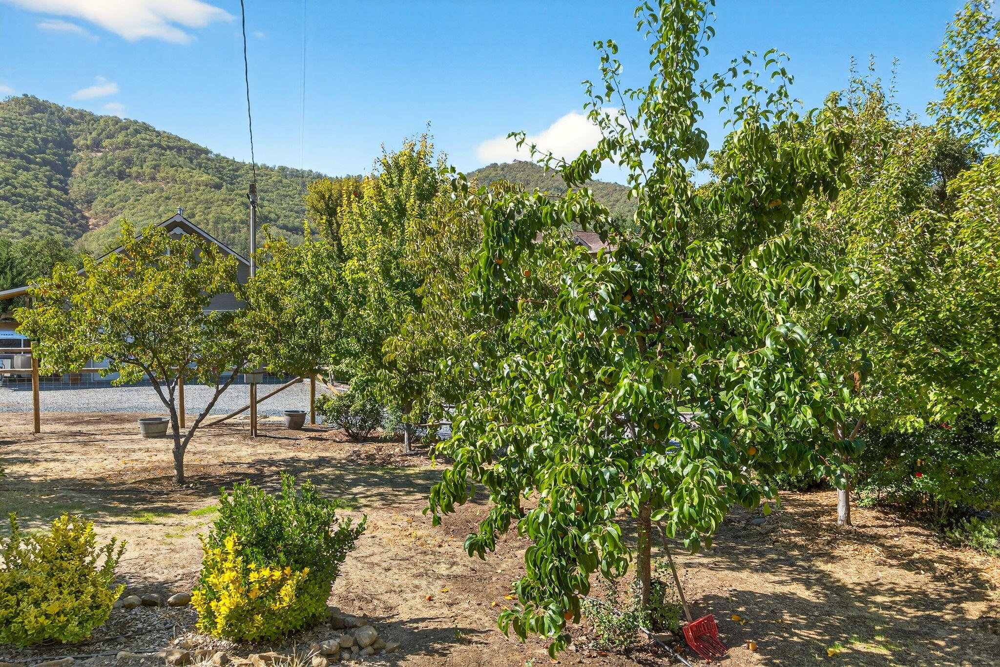 Gold Rey Subdivision Unit No 1 - Residential