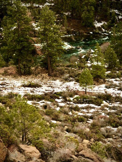 Mt Bachelor Village - Residential
