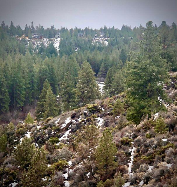 Mt Bachelor Village - Residential