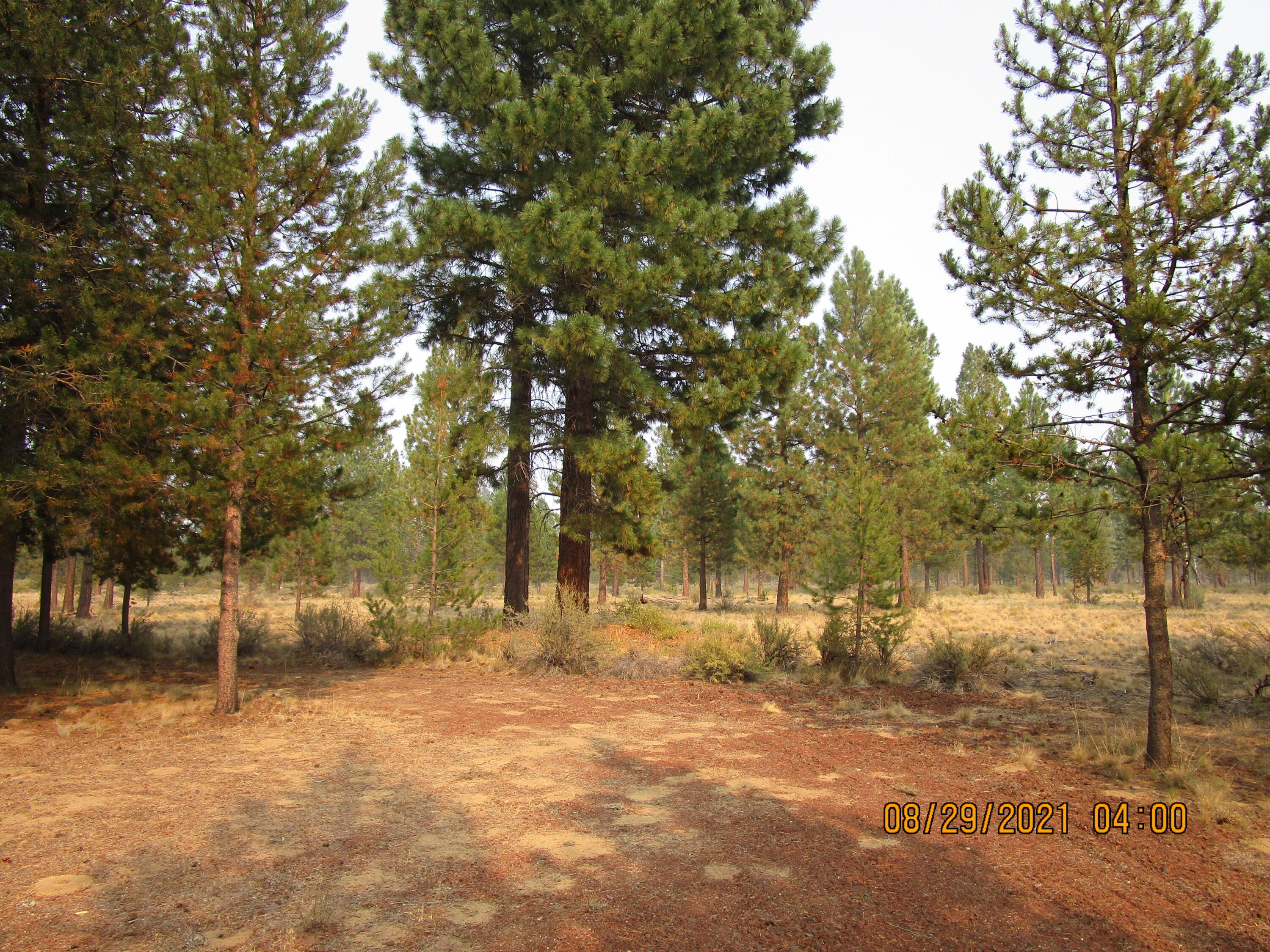 LazyRS - Residential