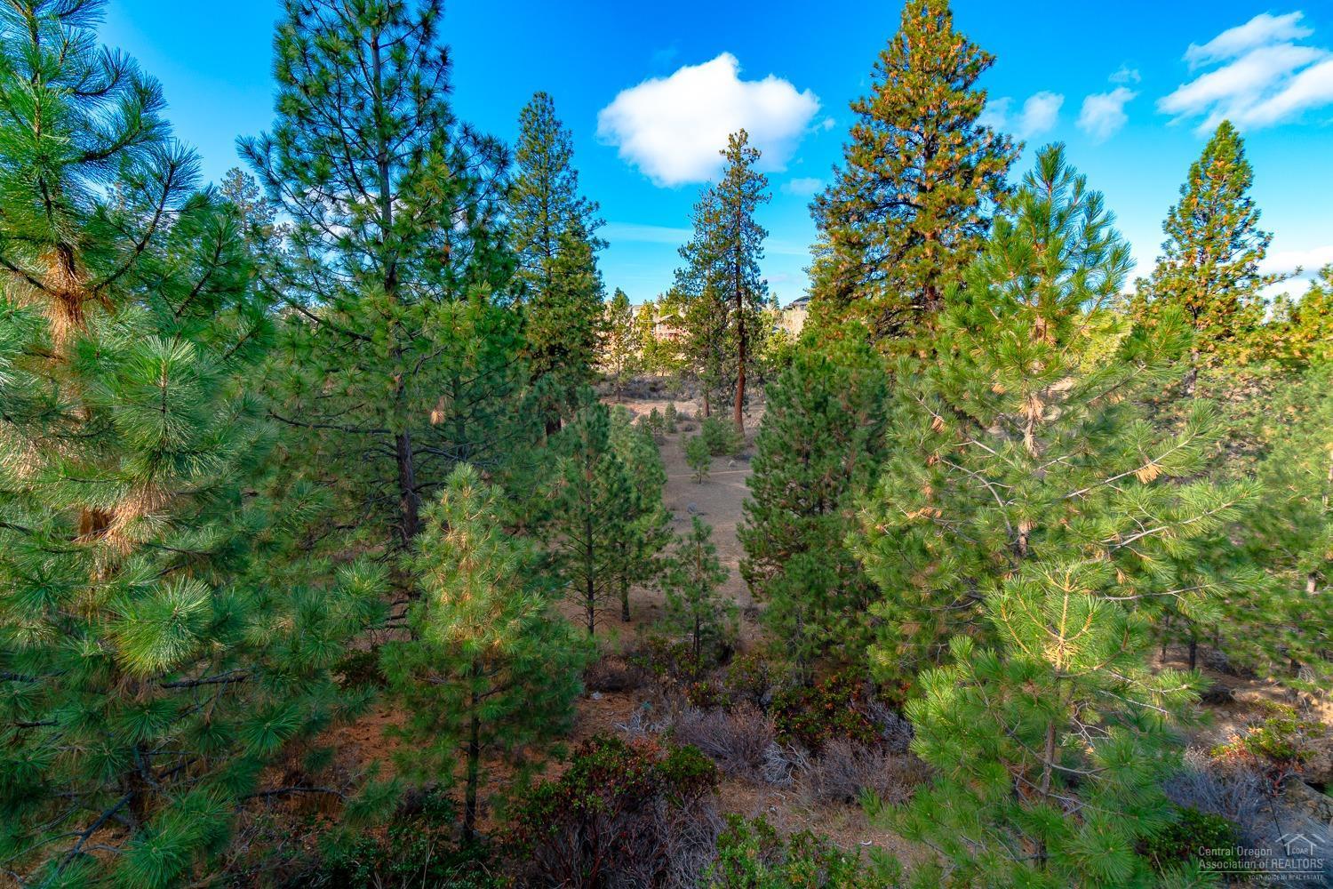 Mt Bachelor Village - Residential