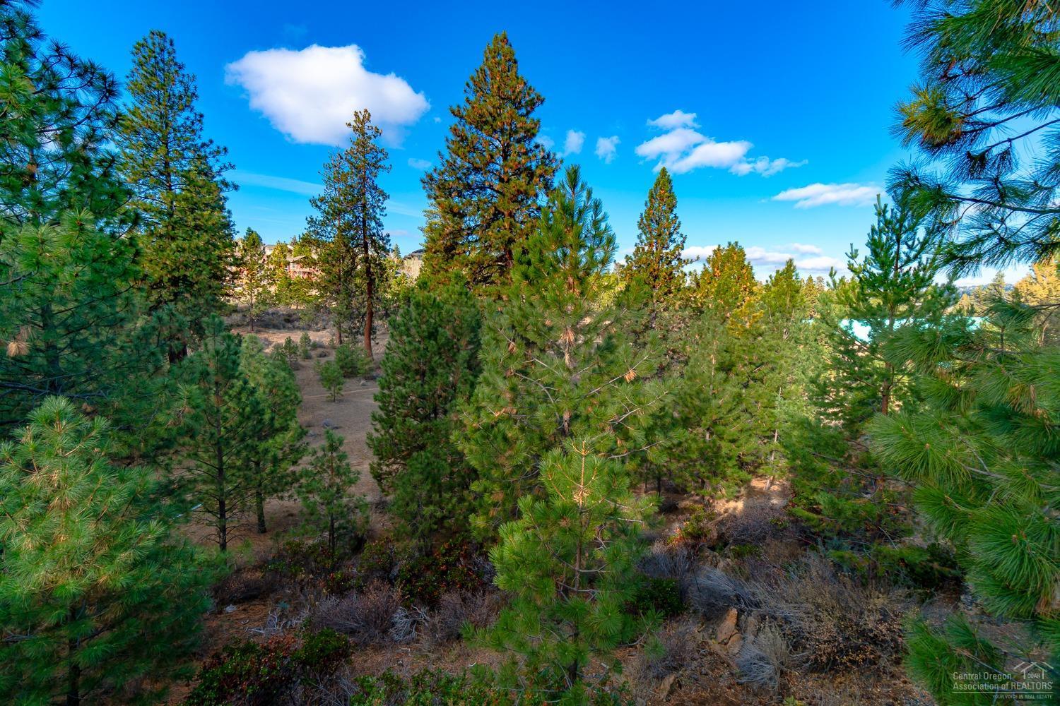 Mt Bachelor Village - Residential