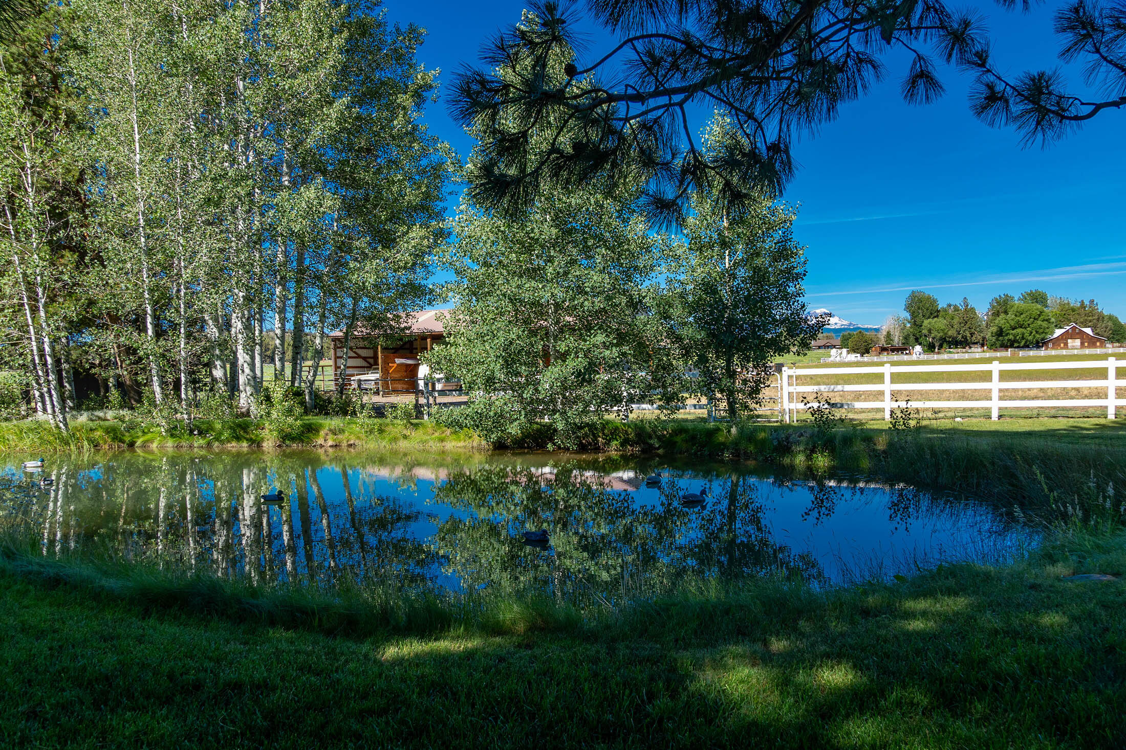 Highland Estate - Residential