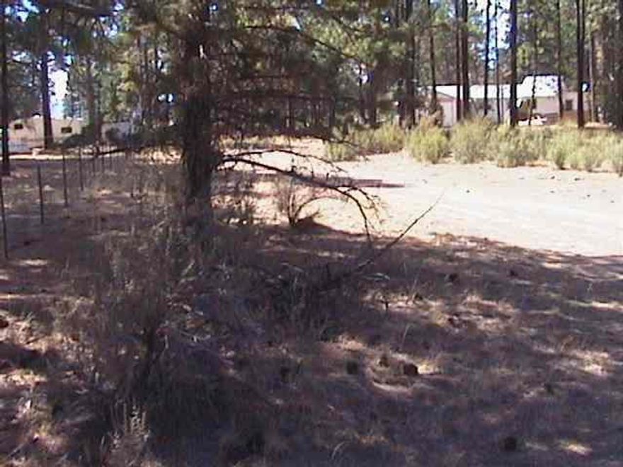 Very Nice Parcel In The Pines Just Off Hwy 140 E. And A View Of A Seasonal Resevour. 1.07 Acres Makes Nice Location For Homesite.