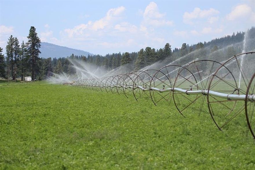 Timber Hunting Summer Grazing For Up To 1350 Aum S Throughout The Balance Of Timbered Acreage, Good Stock Water. Excellent Elk And Deer Habitat, Eligible For Lop Tags. Paradise For Sale!
