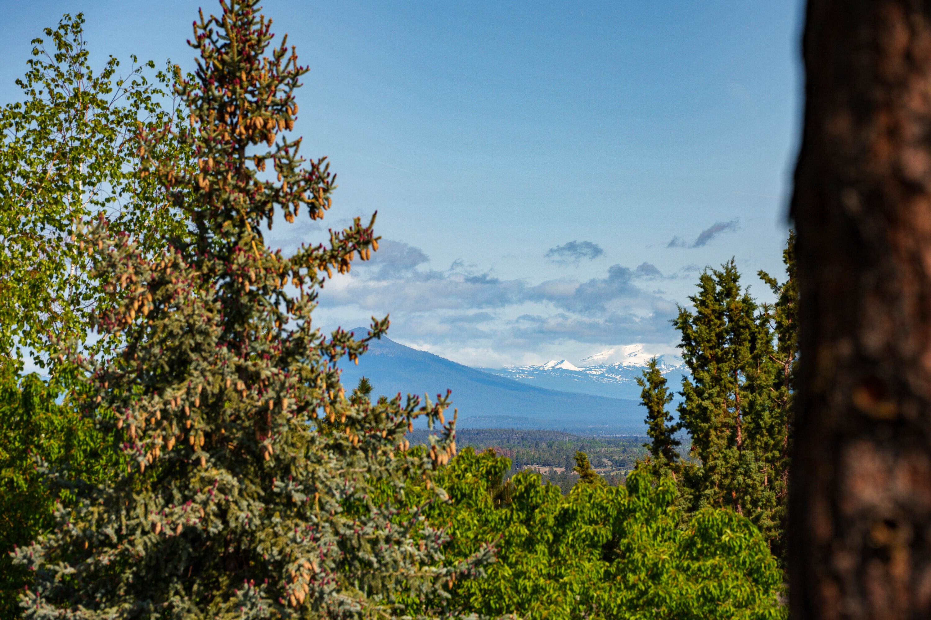 Awbrey Butte - Residential