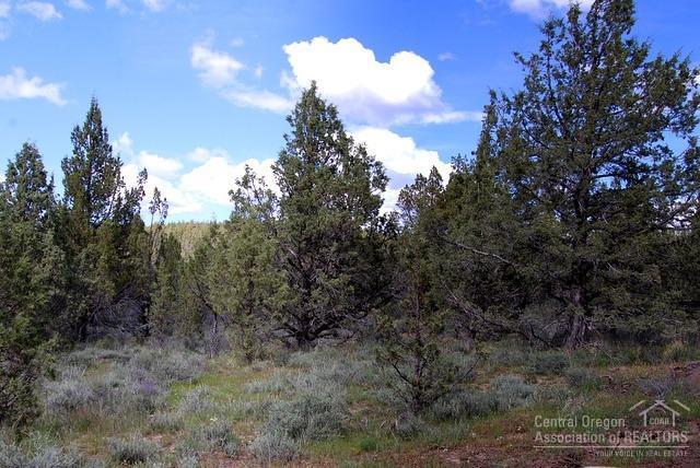 Ochoco Land + Livest - Land